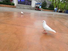 -济南方特东方神画