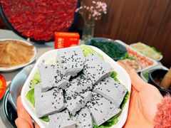 -渝大龙重庆火锅(温泉月亮湾店)