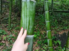 -藏龙百瀑风景区