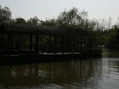 android_upload_pic-溱湖国家湿地公园