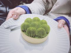 -猫里有甜