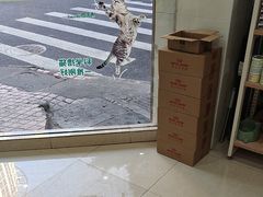 -瑞鹏·疫苗·绝育·宠物医院(广九店)