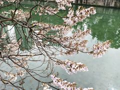 -成都市活水公园