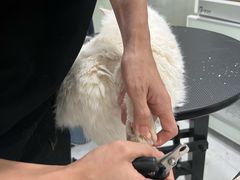 -八公叔叔宠物美容连锁(春申店)