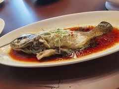 -碧丽宫大酒店(召稼楼店)