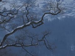 -长白山万达锦华套房酒店