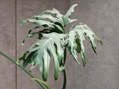 -山下C5cafe(惠通时代广场店)