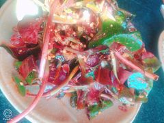 鱼腥草-融泽漁悦三只耳鱼火锅(南郑大道店)