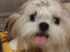 -四季喧黔味豆米火锅(万达广场店)