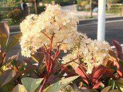 -闽江夜游台江旅游码头