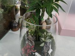-靳晖金百合花艺GOLDENLILY(南院门店)