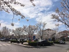 -斯普瑞斯奥特莱斯