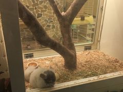 -龙猫仔乐园(惠福东路店)