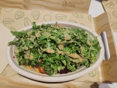 -油梨树 AVOCADO TREE(亮马桥店)