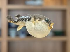 -天正河鲀·河豚亭(大连店)