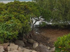 -深圳湾公园(南山区)