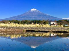 -富士山本宫浅间大社