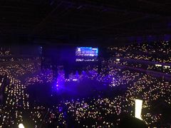 -南京奥林匹克体育中心-体育馆