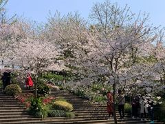 -南山植物园