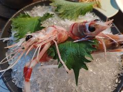 新西兰鳌虾-Mr·Fish鱼鲜生海鲜放题(银泰in99店)