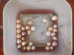 -十八字金·银饰·拼豆·开蚌DIY(魏公芳华里店)