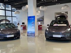 -TESLA 特斯拉(深圳观澜特斯拉直营钣喷中心)