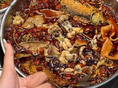 -蛙蛙鸡冷锅鱼(驷马桥店)