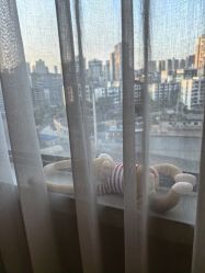 -重庆安琪儿妇产医院-妇幼保健联盟医院