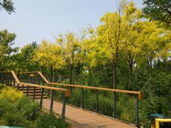 -东郊湿地公园