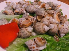 花螺-浙C老邻舍(西城海错店)