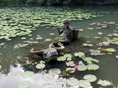 -亚龙湾热带天堂森林公园
