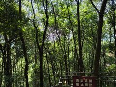 -灵顺寺