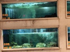 水产区-顺峰(农展馆店)