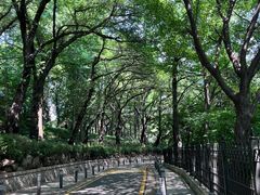 -松月洞童话村