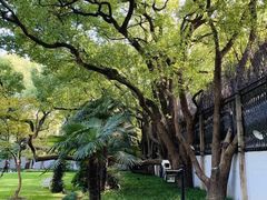 -上海宋庆龄故居纪念馆