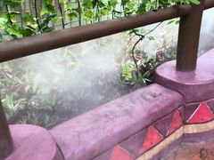 -厦门方特水上乐园