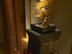 -浅深(北京北四环精品店)