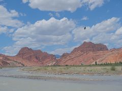 -开开巴郎尉犁县正宗烤肉(香梨大道店)