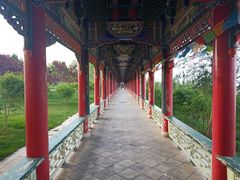 -兰山公园