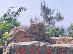 -铁山坪森林公园