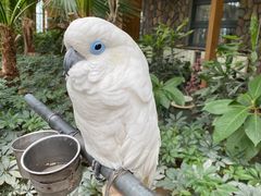 -南宫五洲植物乐园