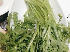 -蒙都43°9羊火锅(平庄店)