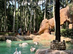 -北京野生动物园