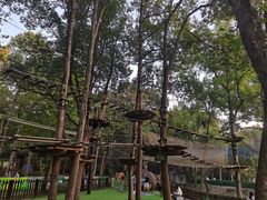 -WeLope紫金山探险公园