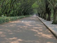 -南沙十九涌渔人码头-南门