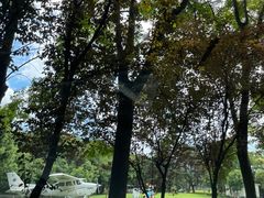 -上海美帆帆船露营基地