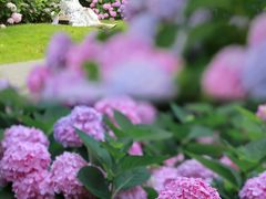 -上海滨江森林公园