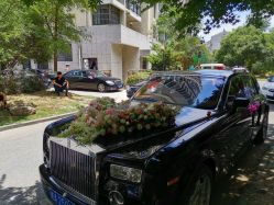 -蚂蚁婚车