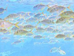 -海合安成都极地海洋公园