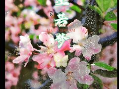 -温江公园